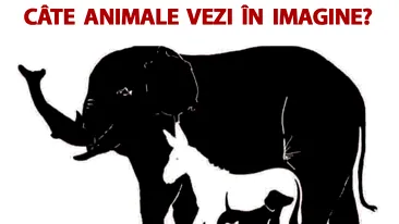 Testul IQ care îți spune cât de deștept ești: Câte animale vezi în imagine?!