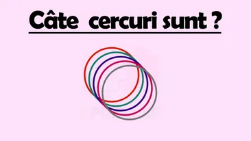 Test de inteligență | Câte cercuri sunt, de fapt, în această imagine?
