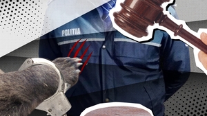 Avem decizia de ultimă oră din dosarul perversului ”Lăbuță” care a mușcat un polițist! Judecătorii din Constanța au decis să-l…