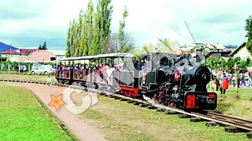 Austriacul Georg Hocevar, acuzat ca a exportat locomotive romanesti Salvatorul mocanitelor, condamnat la inchisoare