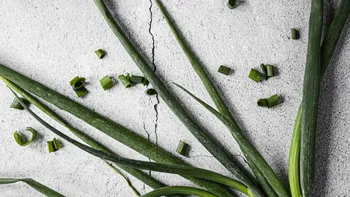 Modul de gătire al arpagicului pentru a te feri de AVC și de osteoporoză. Regula de care trebuie să ții cont