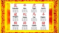 Horoscopul chinezesc săptămânal, 22-28 februarie 2021. Predomină elementul Lemn, urmat de Pământ și de Foc