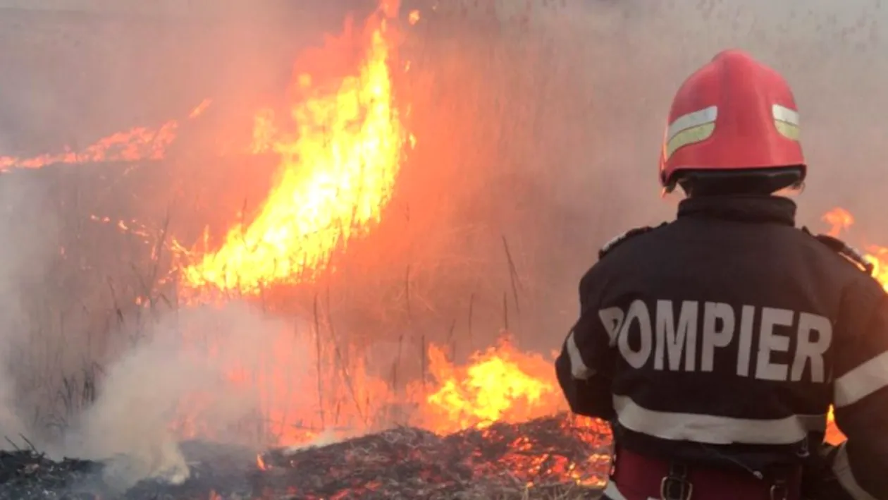Incendiu puternic la Arad! Mai multe echipaje de pompieri s-au luptat cu flăcările