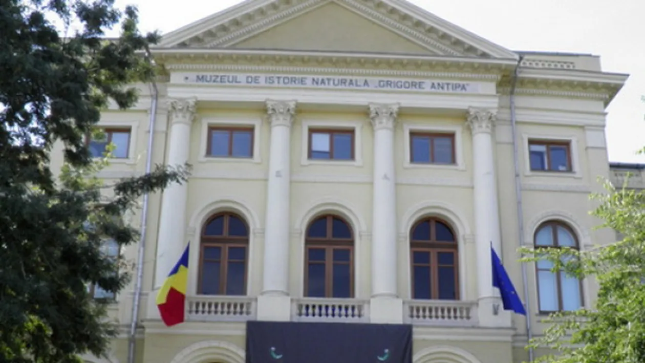 Record absolut: 18.000 de oameni au vizitat Muzeul Antipa cu ocazia Noptii Muzeelor! Ce alte locuri au preferat bucurestenii