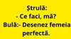 BANC | Bulă desenează femeia perfectă