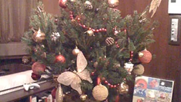 Uite cum arata bradul de Craciun al Andreei Patrascu si ce iti doreste iubita lui Cabral de Sarbatori