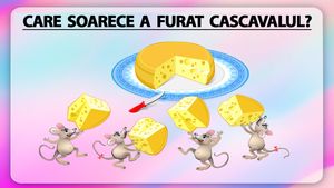 TEST IQ | Care dintre cei 4 șoricei a furat bucata de cașcaval?