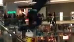 Ce tupeu! Uite ce au putut sa faca intr-un mall din SUA!