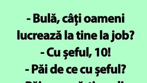BANC | "Bulă, câți oameni lucrează la tine la job?"