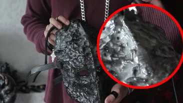 Hobby ucigas! Ce a putut sa faca un bucurestean dupa ce scorpionul lui a nascut 10 pui si a murit!