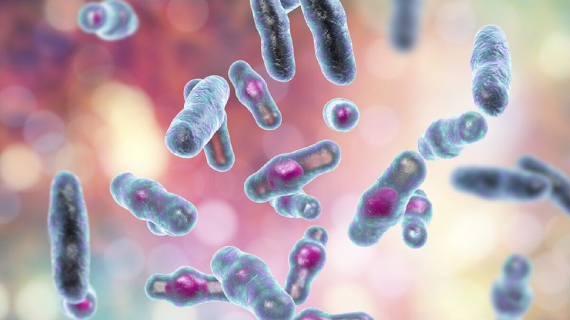 Alertă mondială din cauza unei bacterii extrem de periculoase, despre care oamenii de știință nu cunosc multe detalii. Simptomele apar într-un mod similar cu cele ale unei răceli obișnuite