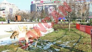 Renii Mosului pasc in fata magazinului Unirea