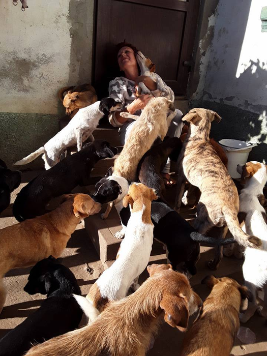 Raiul animalelor este acasă la Daniela