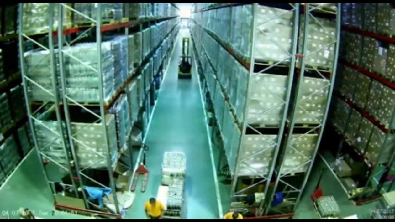 VIDEO VIRAL. ”Dorel” face ravagii într-un depozit