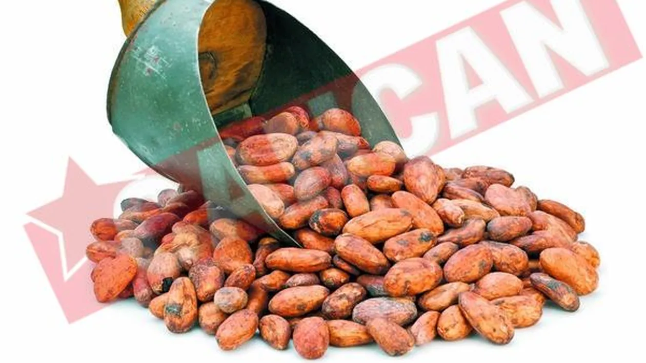Boabele de cacao trateaza hipertensiunea arteriala