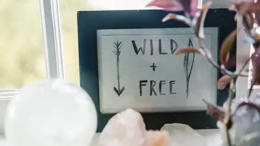 Zodia din horoscop care are sclipiri de geniu! Tot zodiacul o invidiază pentru efervescenţa sa mentală