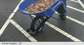 Galerie foto - poza 1