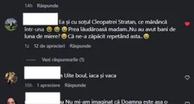 Galerie foto - poza 2