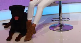 Galerie foto - poza 4