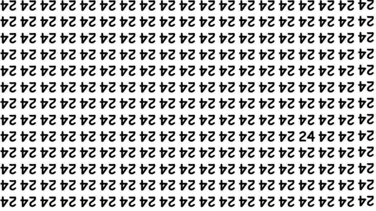 Iluzie optică virală | Doar 1 dintre 100 de oameni poate găsi numărul 24 în maximum 5 secunde