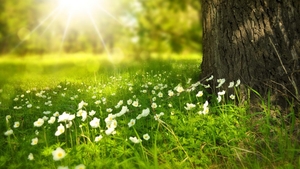 ANM a dat vestea așteptată de toți românii. Săptămâna viitoare vor fi temperaturi de 24 de grade Celsius