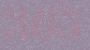 Iluzie optică virală | Ce număr se ascunde în această fotografie?