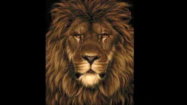 Test IQ exclusiv pentru genii | În această poză apare un leu, dar nu doar atât. Găsiți șobolanul ascuns!