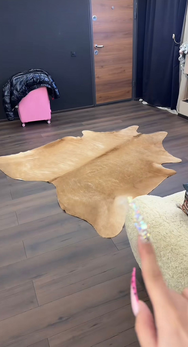 Cum arată casa lui Iorga? Sursă foto: TikTok