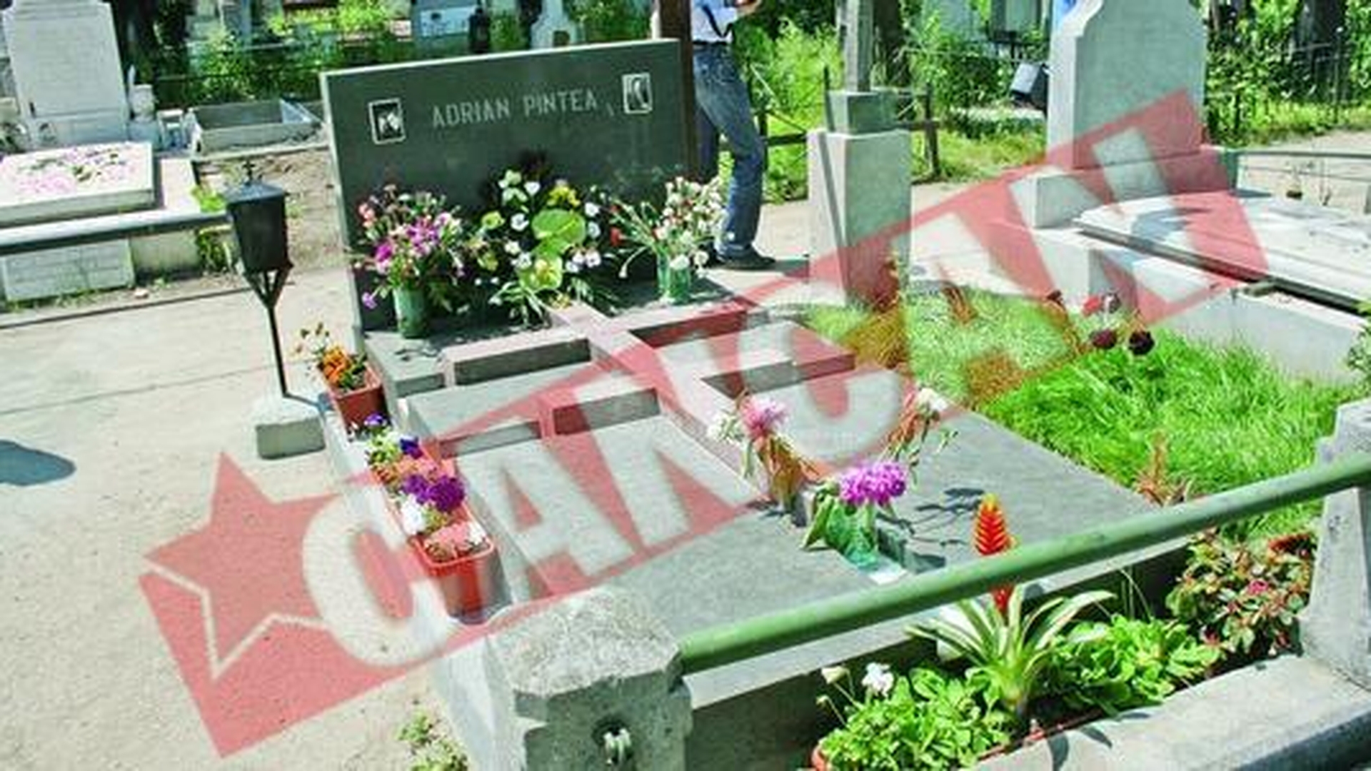 Cavou templier pentru cavalerul Adrian Pintea