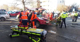 Galerie foto - poza 2