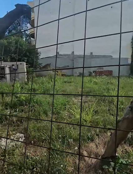 Cum arată astăzi casa lui Vasile Turcu? La 10 ani de la moartea sa, a rămas doar o ruină