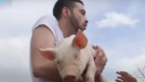 David Pușcaș, test de angajare la fermă! Fiul adoptiv al Luminiței Anghel a izbucnit: „Nu pot, mi-e rău”
