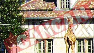 Schumi Isi pazeste palatul cu cai de lemn