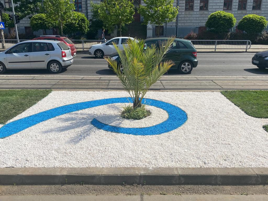 Craiovenii au și ei palmierii lor