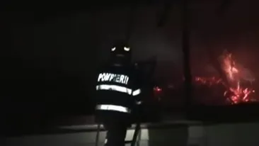 Și-a doborât recordul de infracțiuni! El este tânărul cu șase dosare penale de conducere fără permis! Este acuzat și de lovire și distrugere. Aseară și-a bătut bunica și a incendiat casa