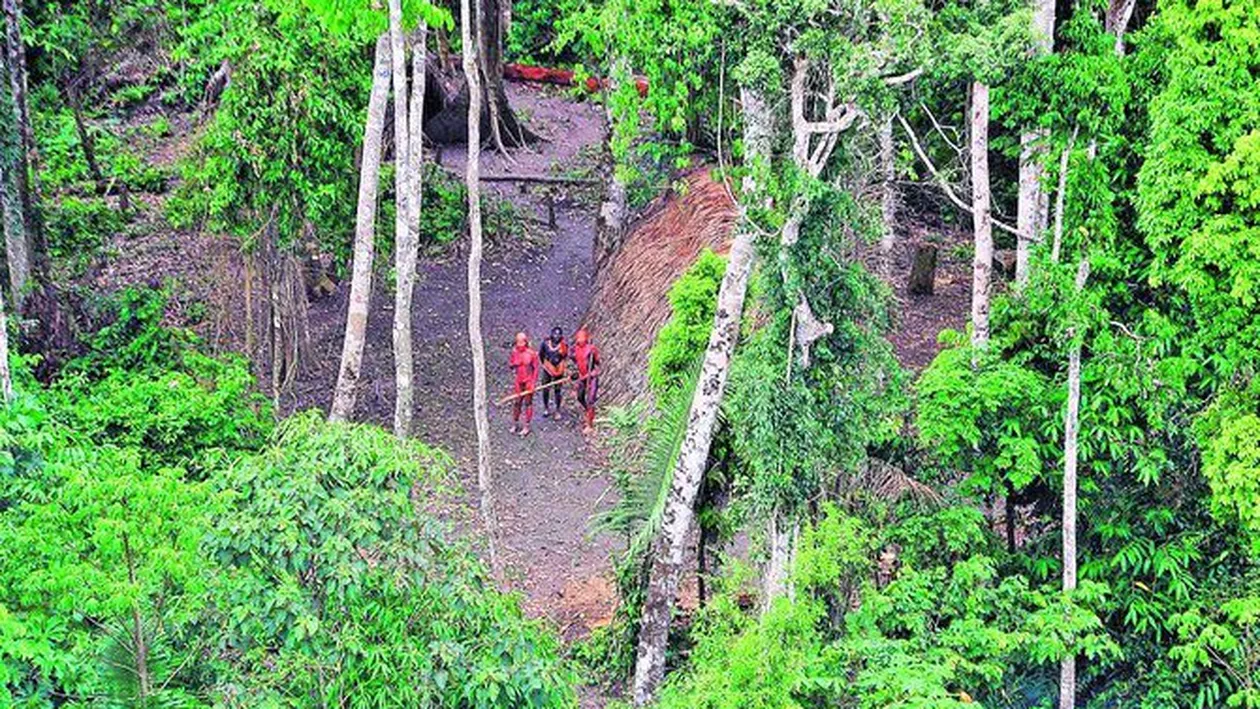 Ei sunt salbaticii secolului 21