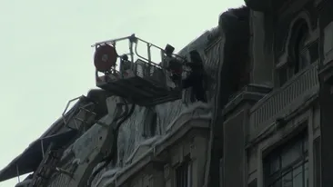 Pompierii s-au pus pe treaba! Cum au rezolvat problema turturilor in Bucuresti VIDEO