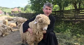 Galerie foto - poza 3