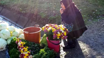 O bătrânică din Buzău care vindea flori pe marginea drumului a fost spulberată de o mașină