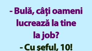 BANC | "Bulă, câți oameni lucrează la tine la job?"