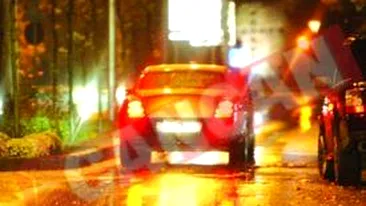 Divort in familia Columbeanu: ea la Gaia, el la Bamboo