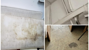 Imagini de coșmar surprinse în mai multe cămine studențești din București. Camere pline de gândaci și mizerie, cu pereți și saltele mucegăite