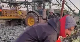 Galerie foto - poza 3