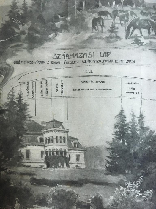 În ce castel de 5* s-a cazat Prințul Emanuel când a venit în România ca să vâneze urși. Ancheta în cazul lui Arthur continuă | FOTO