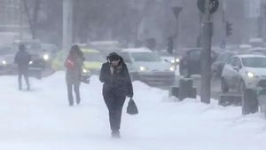 Ninsorile închid iar școlile din România! Ce județe au suspendat cursurile luni, 12 ianuarie, potrivit Ministerul Educației