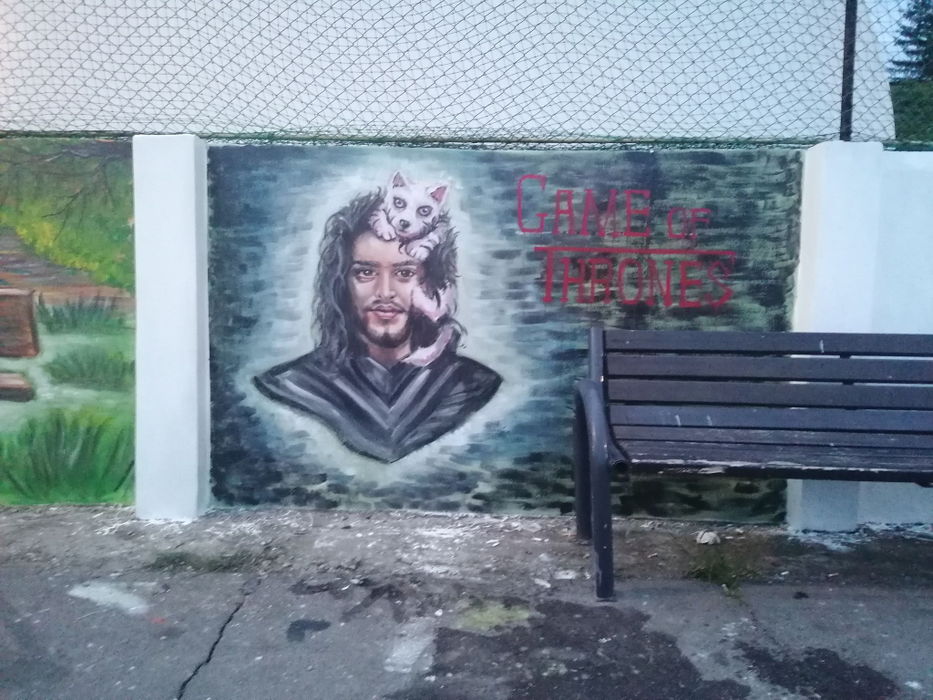 Picturile de mari dimensiuni încântă ochii celor care se plimbă pe faleza râului Olănești din Râmnicu Vâlcea