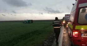 Galerie foto - poza 3