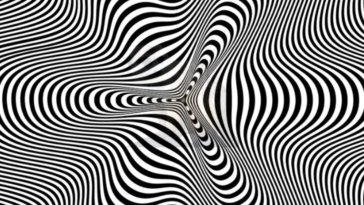 Iluzie optică | Un animal este ascuns în această imagine: ai 10 secunde la dispoziție ca să-l descoperi