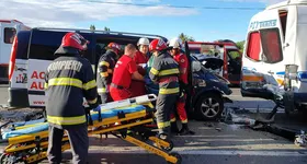 Galerie foto - poza 2