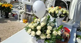 Galerie foto - poza 1